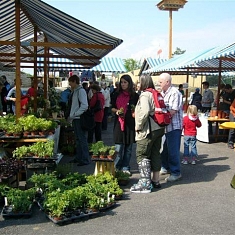 Riehener Dorfmarkt
