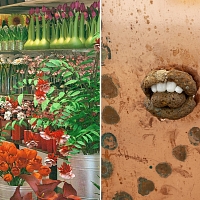 Judit Kakon, Shop imitation (Secret Garden) at Bâleo Erlenmatt, Basel, 2020 / Lou Masduraud, Fontaine (VI), 2023 (Detail). Photo: Thea Giglio